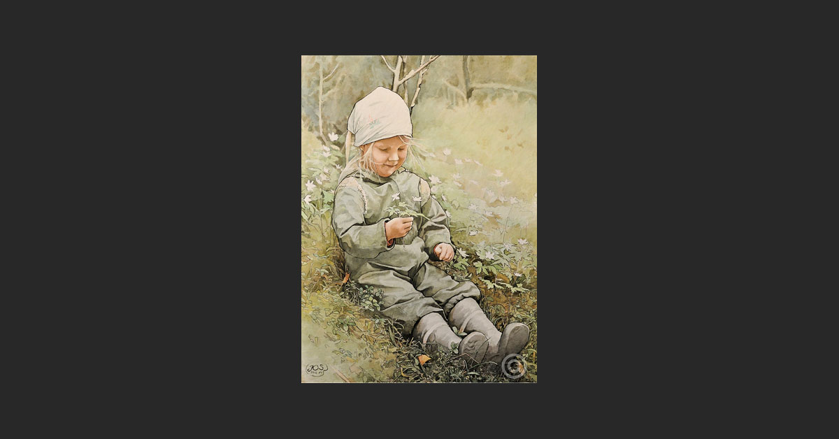 Valkovuokkoja - Jarmo.O. Saarinen